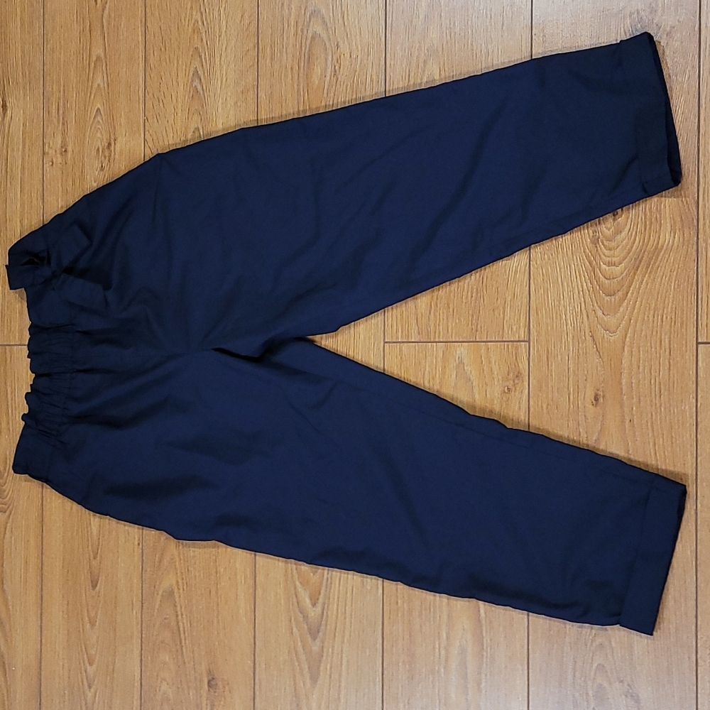 Zara high elastic waist pants NWOT